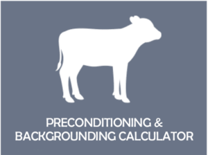 Beef Cattle Research Council preconditioning and backgrounding calculator