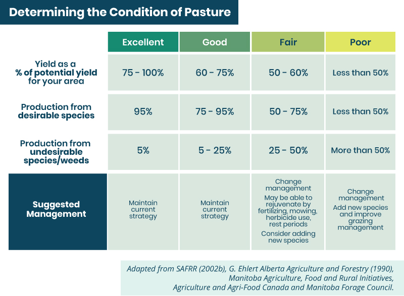 determining the condition of pasture